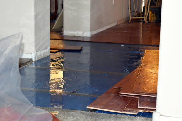 Professional Emergency Water Damage Restoration technician working in Elkhart, IA